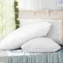 Giselle Bedding Goose Feather Down Pillow Luxury Twin Pack 