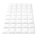 Giselle Bedding 800GSM Goose Down Feather Quilt Winter Blanket Duvet Comforter Single