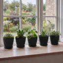 Toque Plant Pots 5 Pcs 8 Inchs Plastic Planter Pots with Drainage Saucers Black