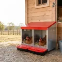 Pawz Chicken Nesting Boxes 2 Hole for Rolling Egg Collection Inside Outside