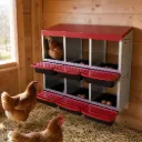 Pawz Chicken Hen Coop Hutch 6 Hole Double Layer Roll Away Lay Egg Nesting Box