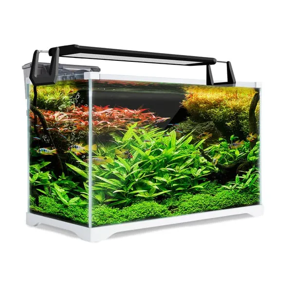Aquarium Starfire Glass Fish Tank Set Filter Pump 39L