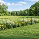 Lambu Garden Fence Panel 5 Pc Q195 Steel Rust Proof Border for Flower Beds Black