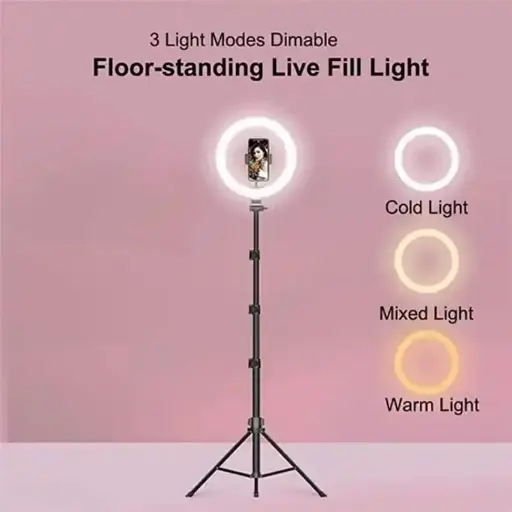 10 Inch Ring Light Set For Live Streaming And Beauty Stand